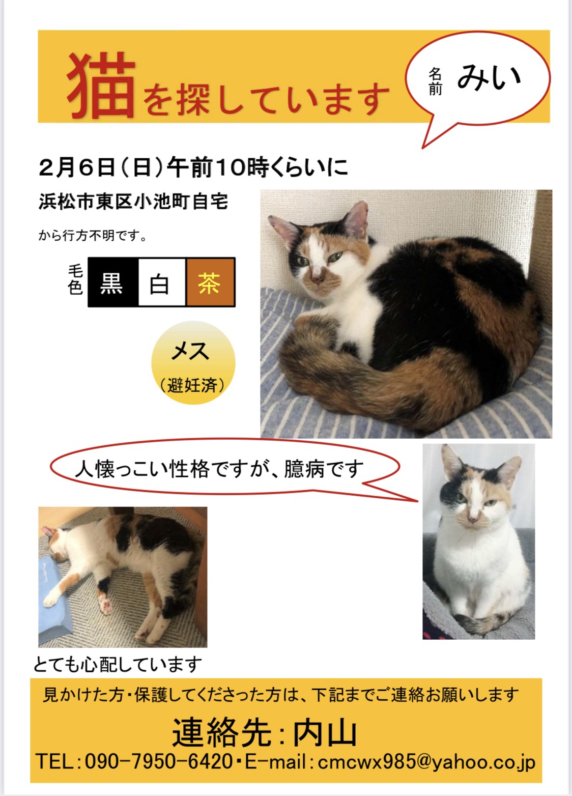 探しています 迷い猫 迷い犬情報 猫と暮らす会 静岡県浜松市を拠点とし 人と猫の共生をテーマに活動を行なっております 猫 の里親募集中 譲渡会も定期的に行っています